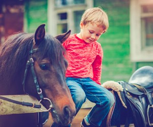 Child and a horse